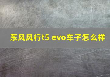 东风风行t5 evo车子怎么样